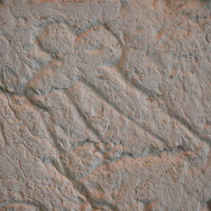 Photo de Musée archéologique