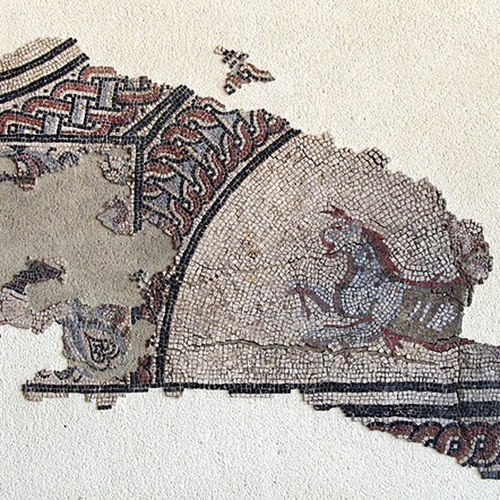 Photo de Musée archéologique