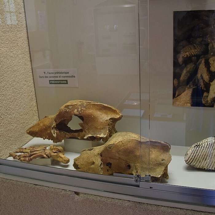 Photo de Musée Jean-Léon Gérôme