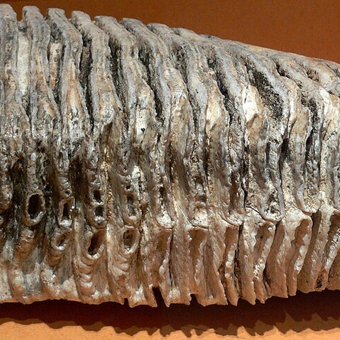 Photo de Musée Jean-Léon Gérôme