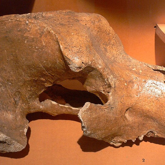 Photo de Musée Jean-Léon Gérôme