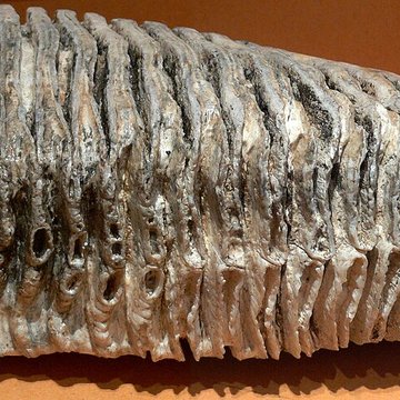 Musée Jean-Léon Gérôme