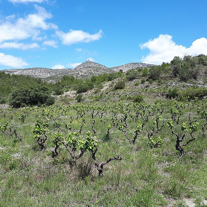 Photo de Tour del Far de Tautavel