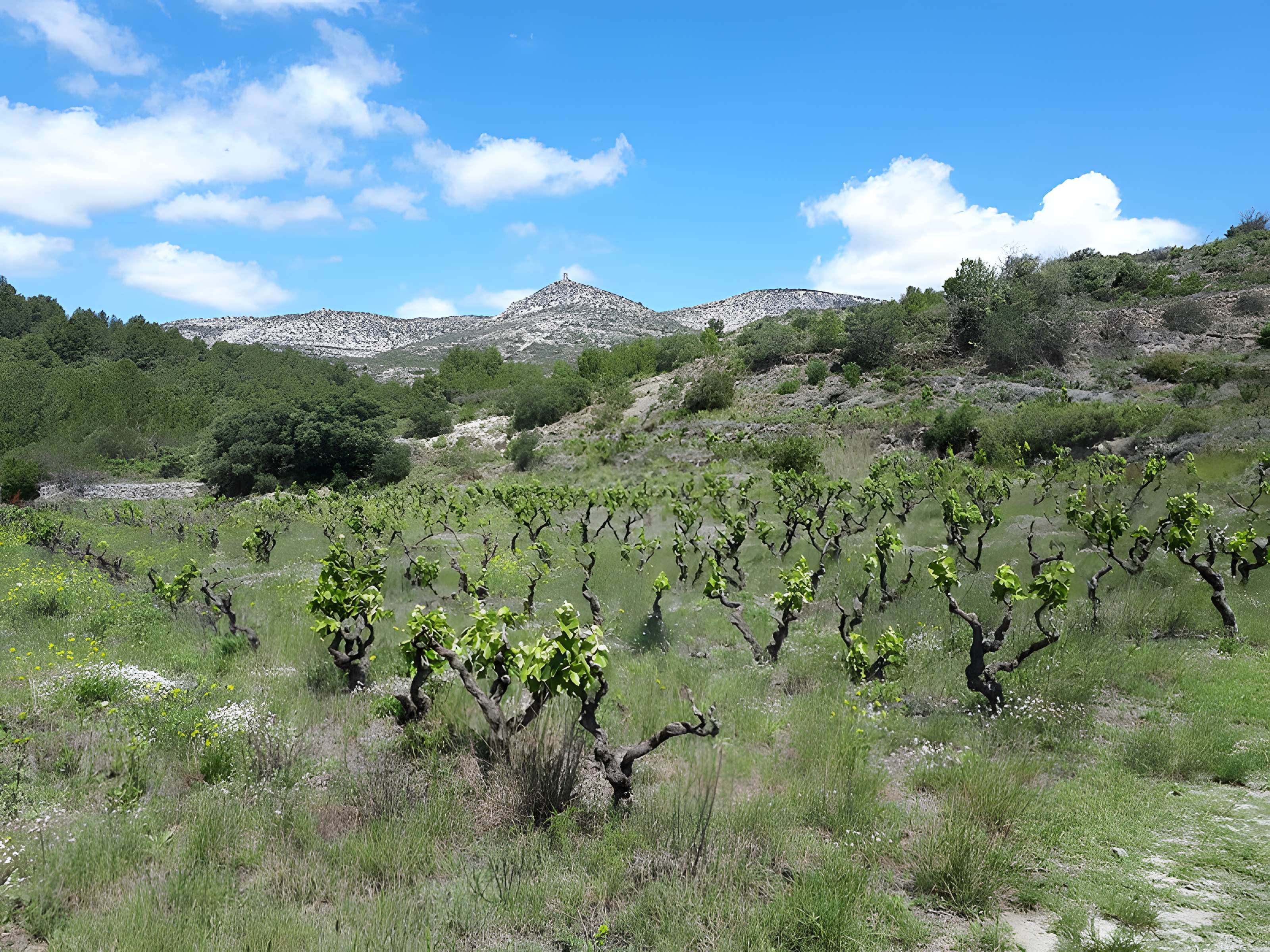 Tour del Far de Tautavel