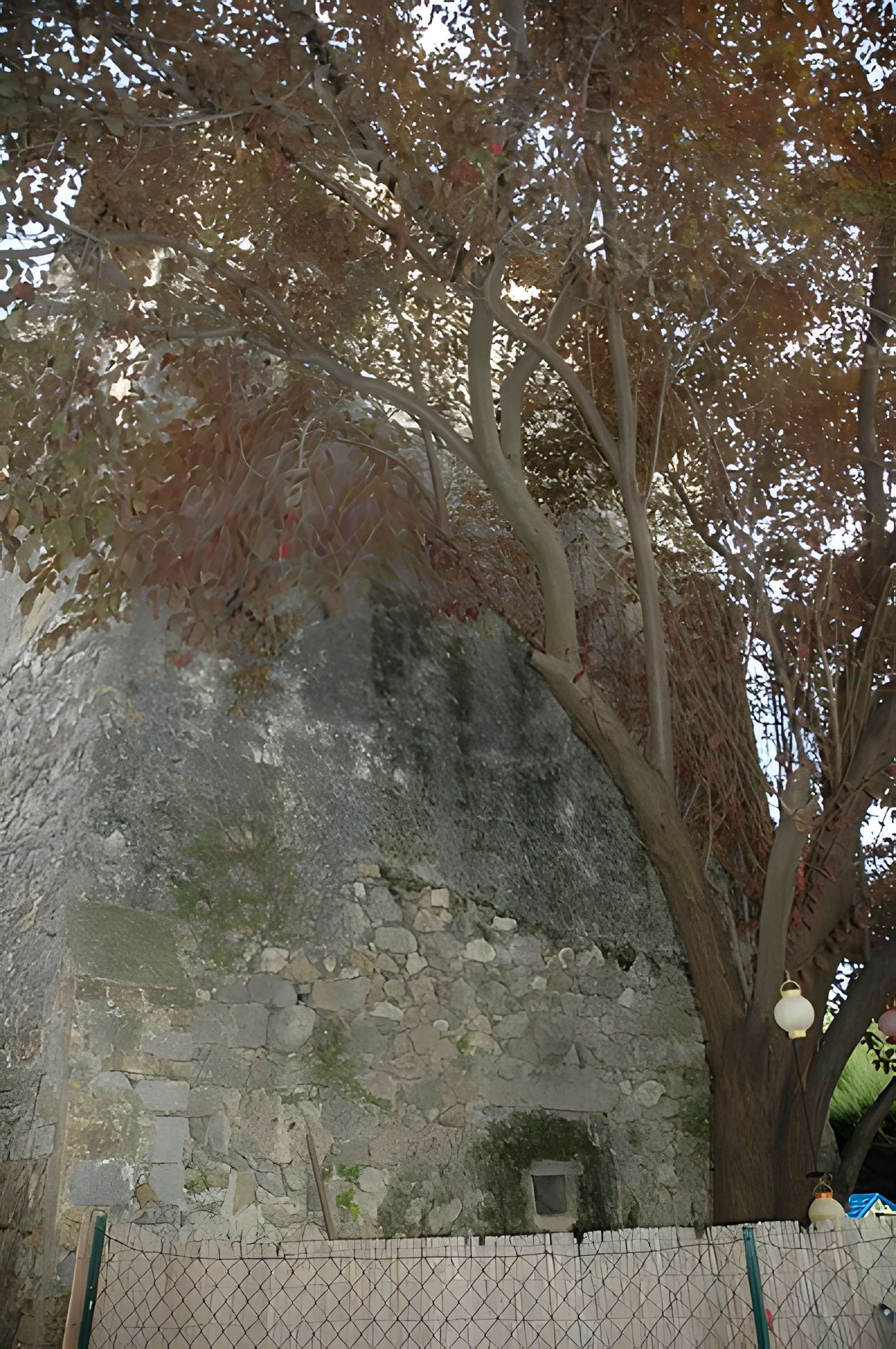 Tour des Danys du Cannet