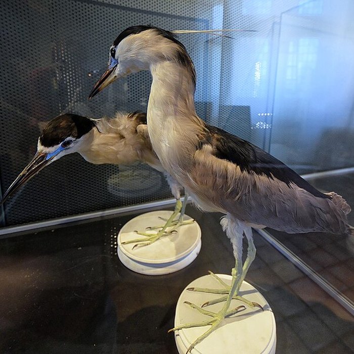 Photo de Musée-château