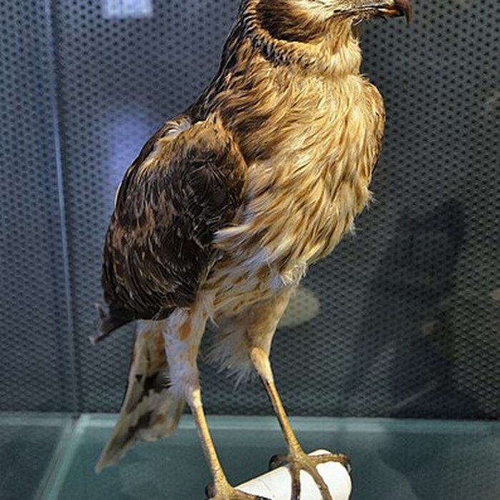 Photo de Musée-château