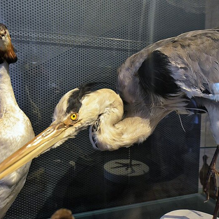 Photo de Musée-château