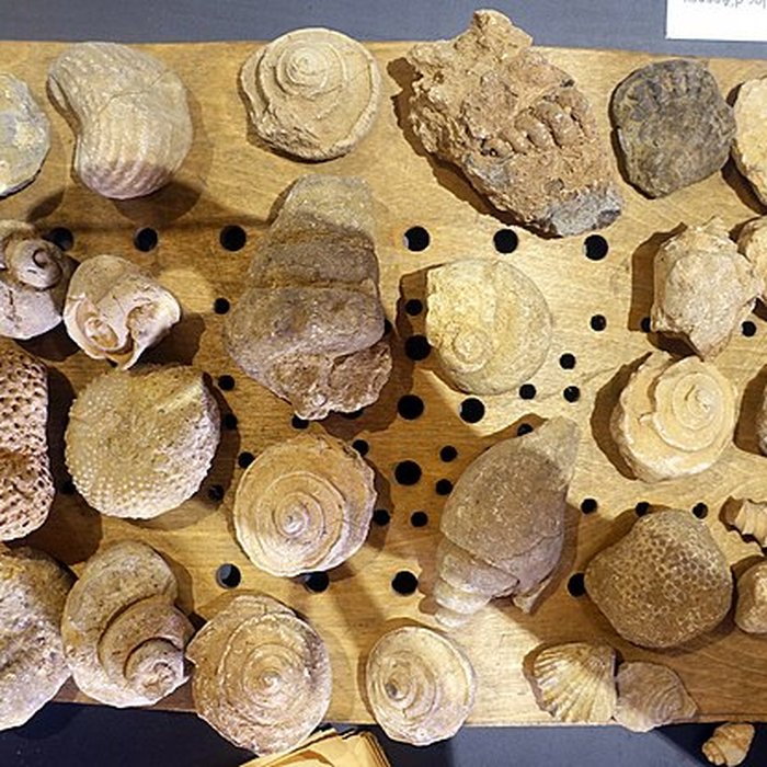 Photo de Musée-château