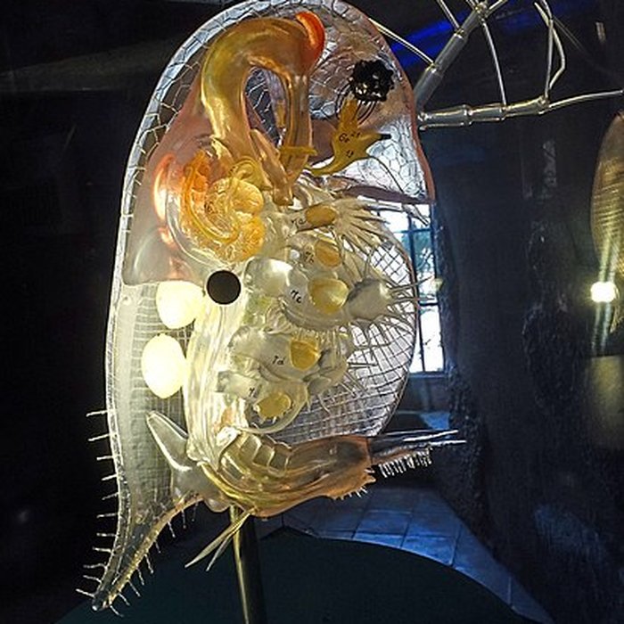 Photo de Musée-château