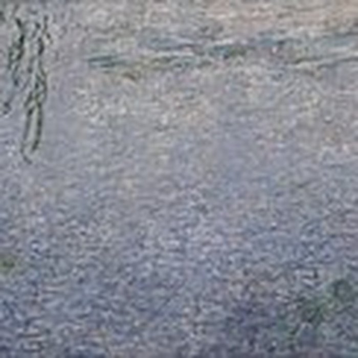 Photo de Musée de lOrangerie des Tuileries