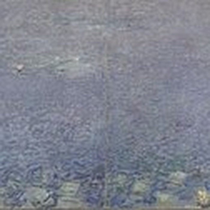 Photo de Musée de lOrangerie des Tuileries