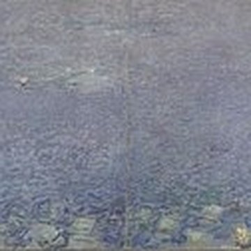 Musée de lOrangerie des Tuileries