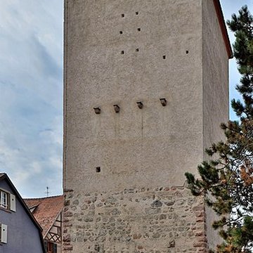 Tour des Sorcières de Sélestat