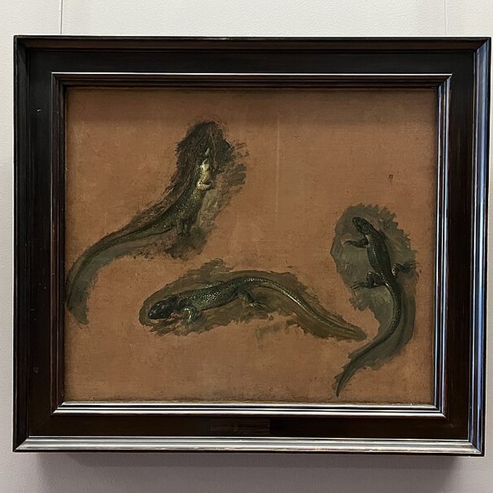 Photo de Musée du Louvre