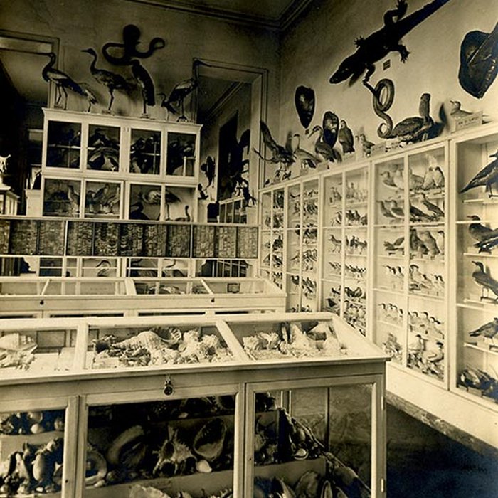 Photo de Musée municipal