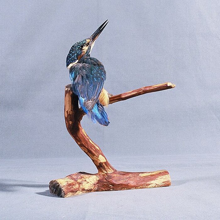 Photo de Musée municipal