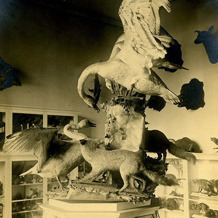 Photo de Musée municipal