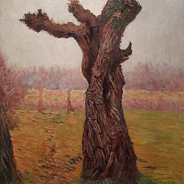 Musée Gatien Bonnet