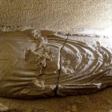 Musée de Provins et du provinois