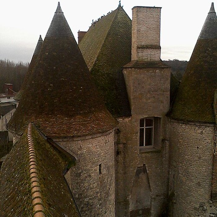 Photo de Château musée de Nemours