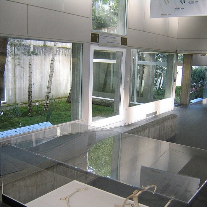 Photo de Musée de préhistoire dIle-de-France