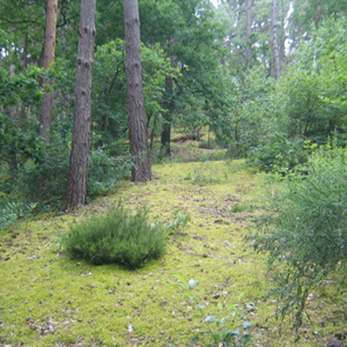 Photo de Musée de préhistoire dIle-de-France