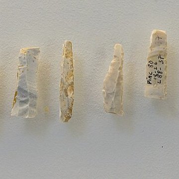 Musée de préhistoire dIle-de-France