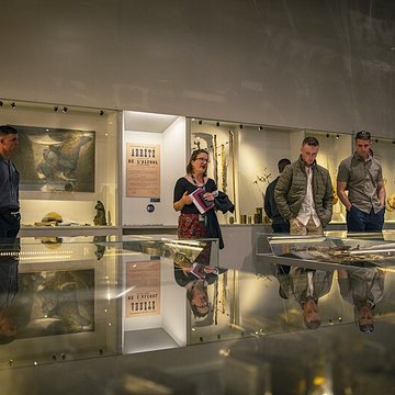 Musée de la Grande Guerre