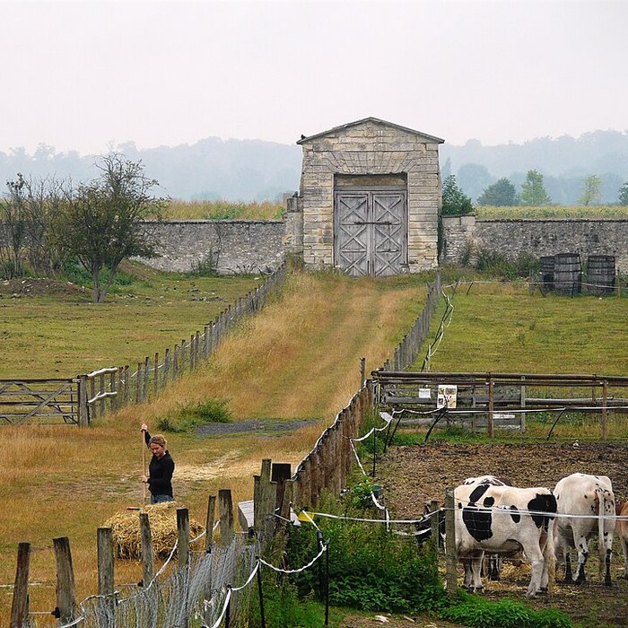Photo de Musée national des châteaux de Versailles et de Trianon