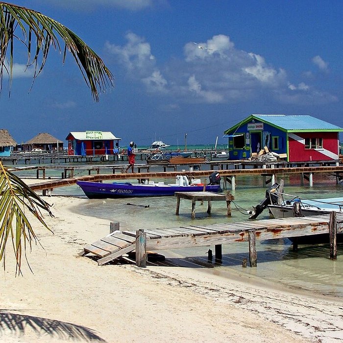 Photo de Musée national des châteaux de Versailles et de Trianon