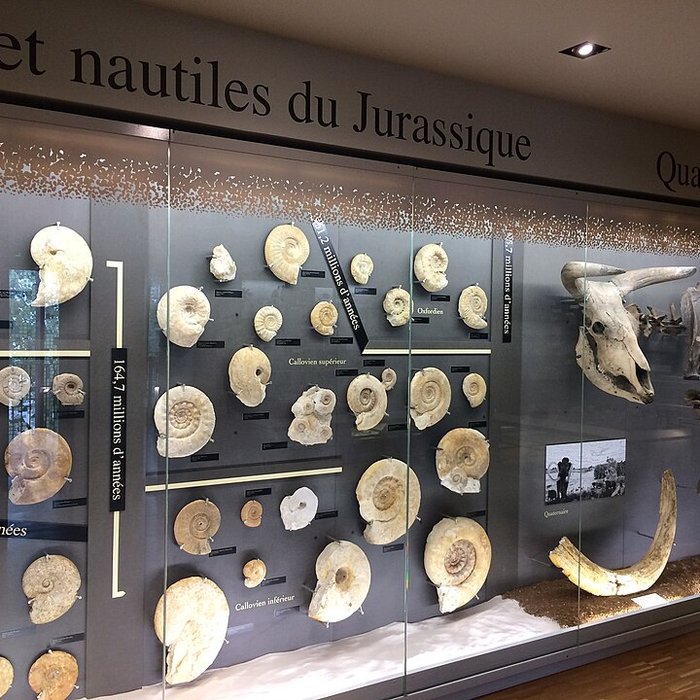 Photo de Musée Bernard dAgesci