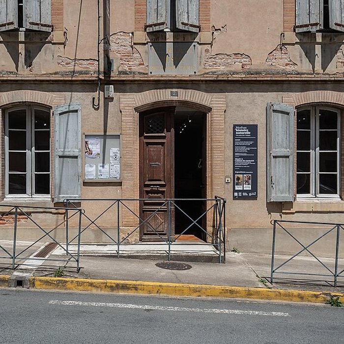 Photo de Muséum dhistoire naturelle Philadelphe Thomas