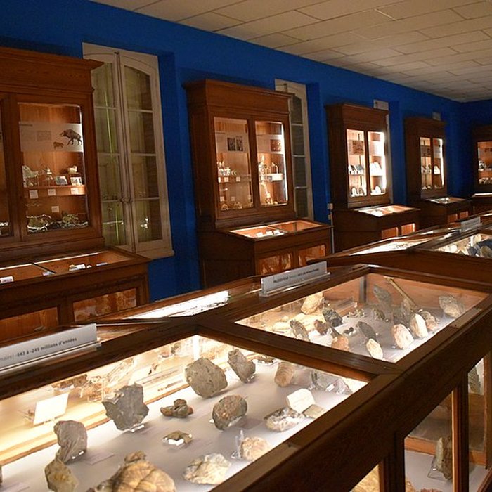 Photo de Muséum dhistoire naturelle Philadelphe Thomas