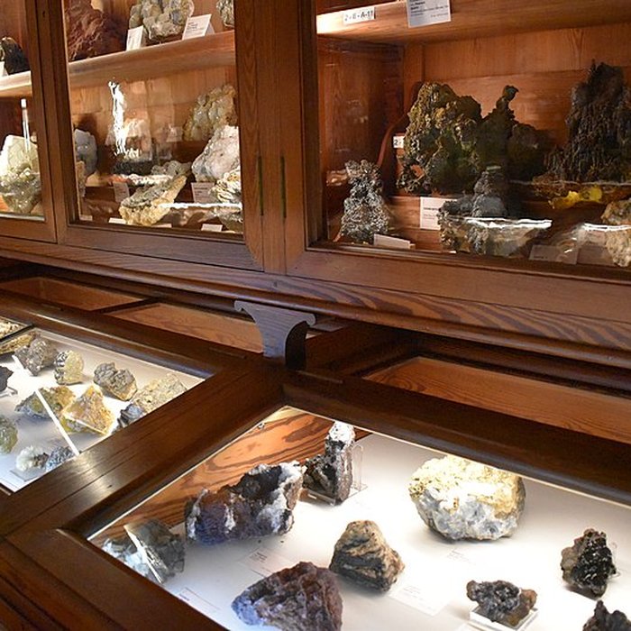 Photo de Muséum dhistoire naturelle Philadelphe Thomas