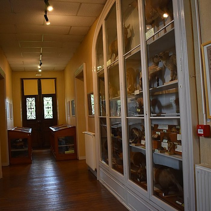 Photo de Muséum dhistoire naturelle Philadelphe Thomas