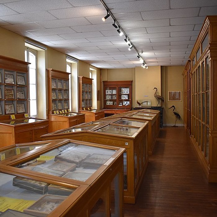 Photo de Muséum dhistoire naturelle Philadelphe Thomas