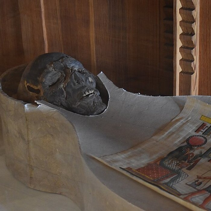 Photo de Muséum dhistoire naturelle Philadelphe Thomas