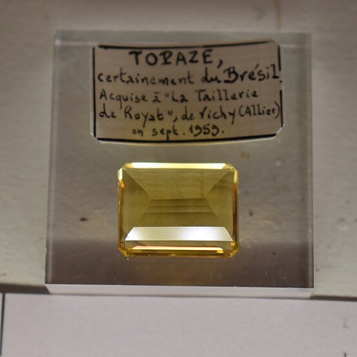 Photo de Muséum dhistoire naturelle Philadelphe Thomas