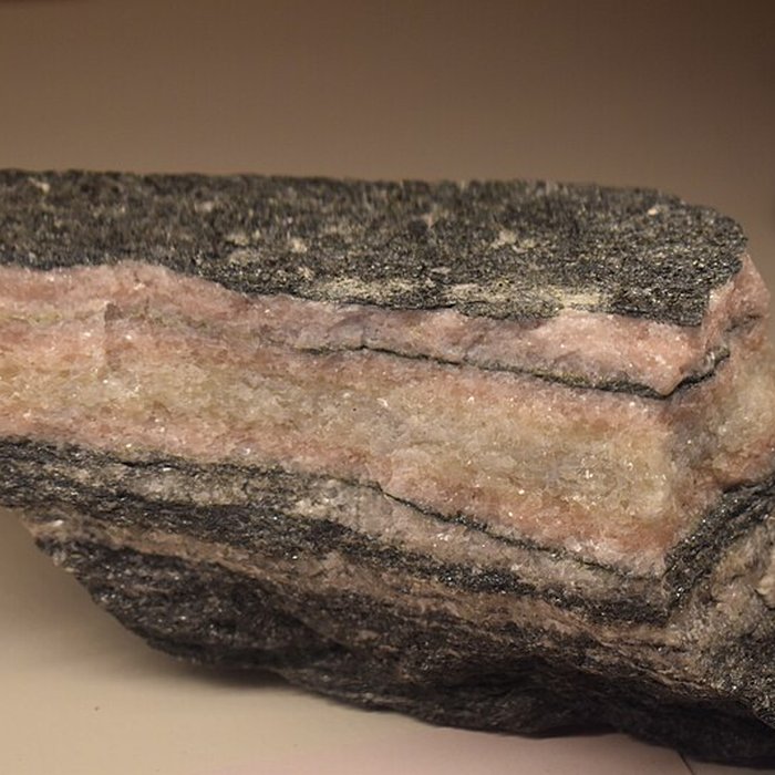 Photo de Muséum dhistoire naturelle Philadelphe Thomas