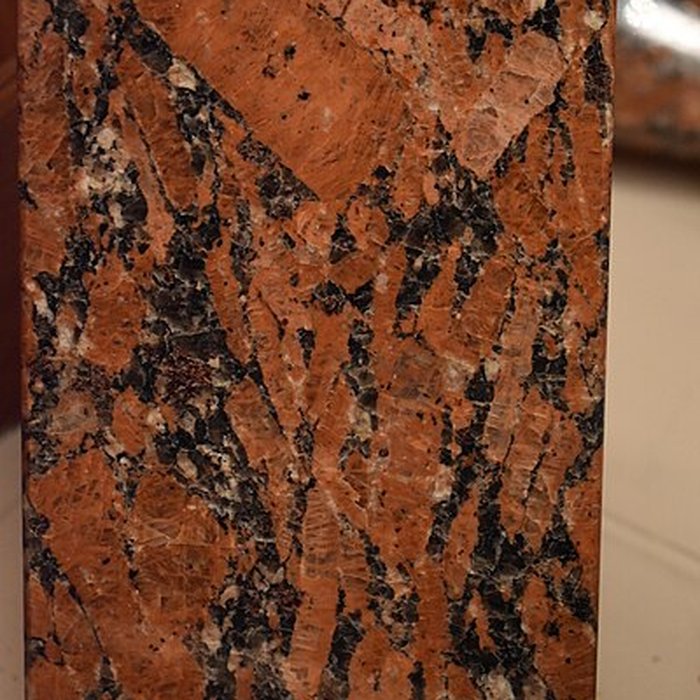 Photo de Muséum dhistoire naturelle Philadelphe Thomas