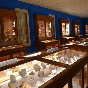 Muséum dhistoire naturelle Philadelphe Thomas