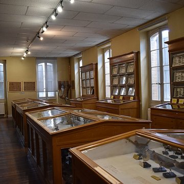 Muséum dhistoire naturelle Philadelphe Thomas