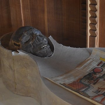 Muséum dhistoire naturelle Philadelphe Thomas