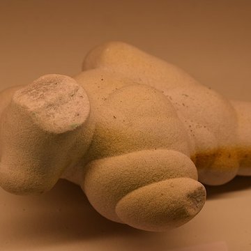 Muséum dhistoire naturelle Philadelphe Thomas