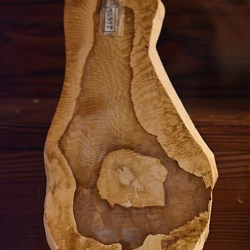 Muséum dhistoire naturelle Philadelphe Thomas