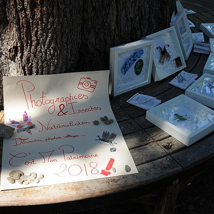 Photo de Muséum dhistoire naturelle de Toulon et du Var
