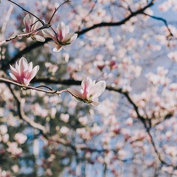 Muséum dhistoire naturelle de Toulon et du Var