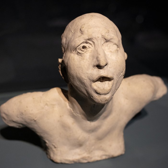 Photo de Musée d’art de Toulon – M.A.T.