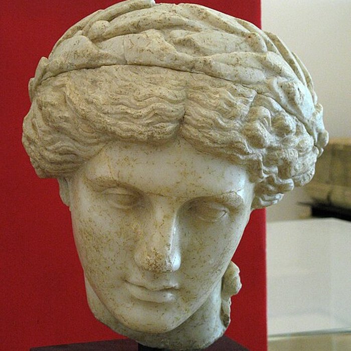 Photo de Musée Archéologique Théo Desplans